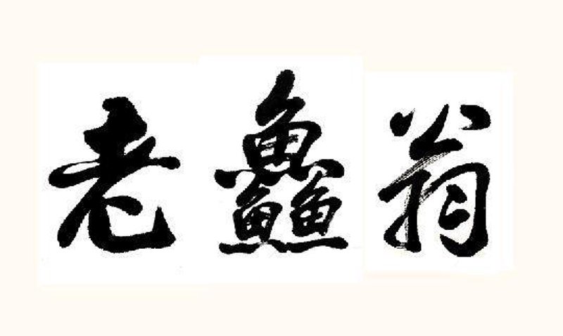 牛排的魅力：从选材到品尝
